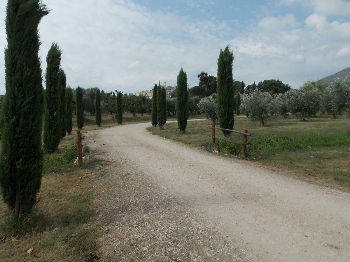 Agriturismo Cento Ducati Palombara Sabina Eksteriør bilde